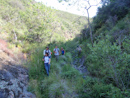 Salamander Canyon, California